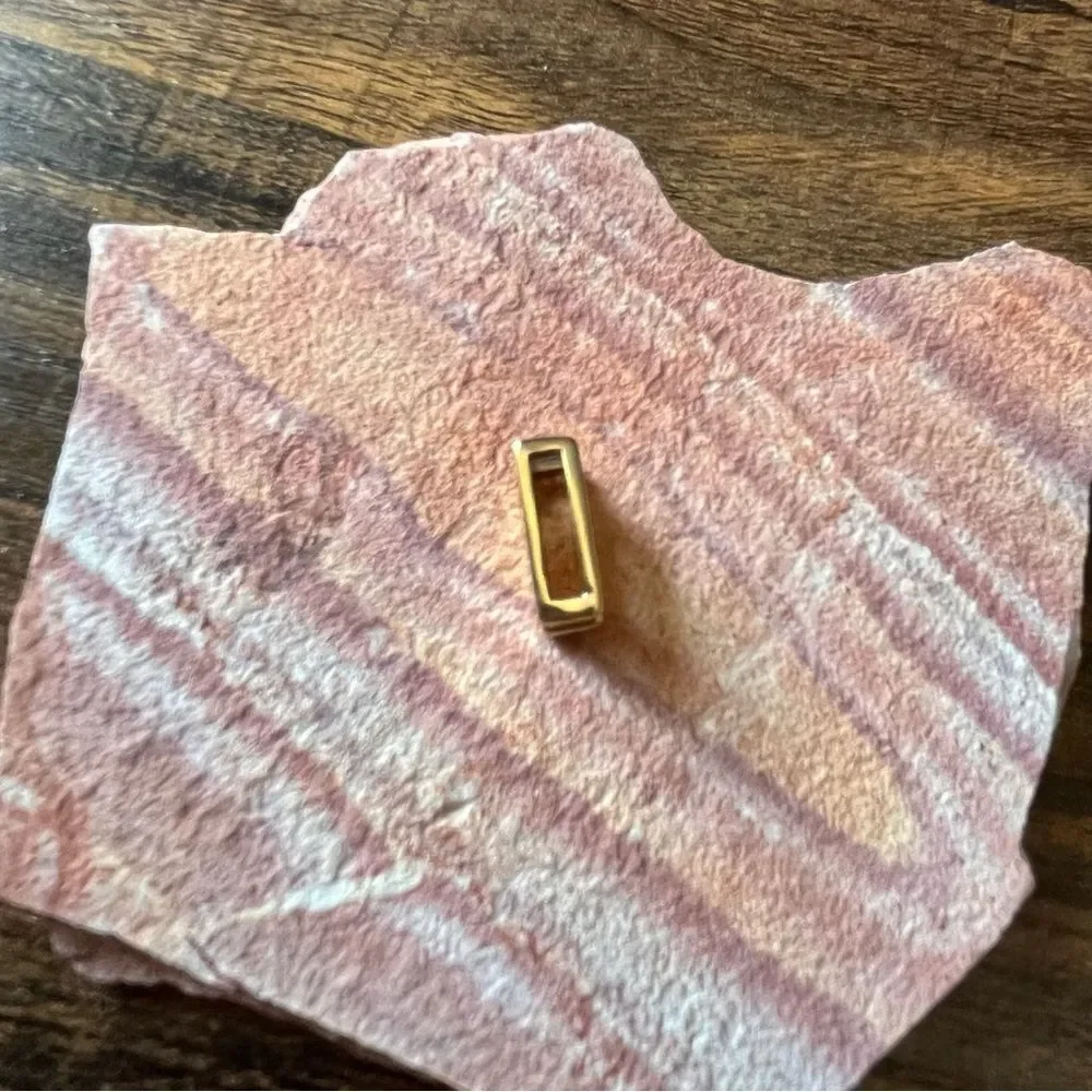 KEEP Collective Stella & Dot Gold-Tone Slide Initial N Charm